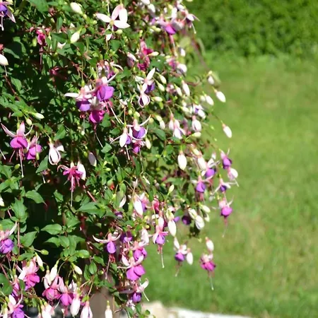 Dreamy Retreat In Hébergement de vacances *