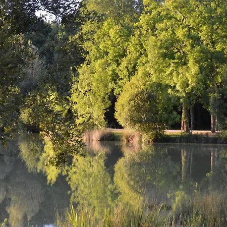 Dreamy Retreat In Vakantiehuis