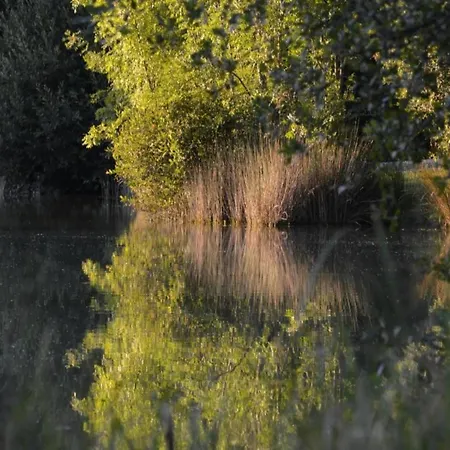 Hébergement de vacances Dreamy Retreat In Loubejac