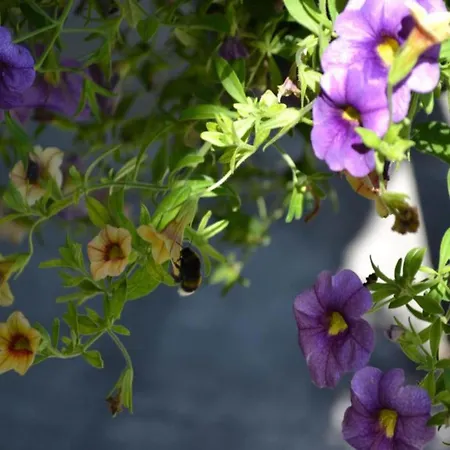 Dreamy Retreat In Hébergement de vacances *