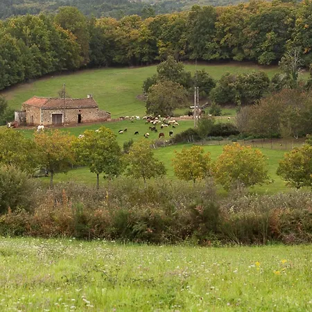 Tatil Evi Dreamy Retreat In