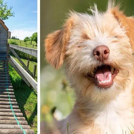 Vakantiehuis Dreamy Retreat In *