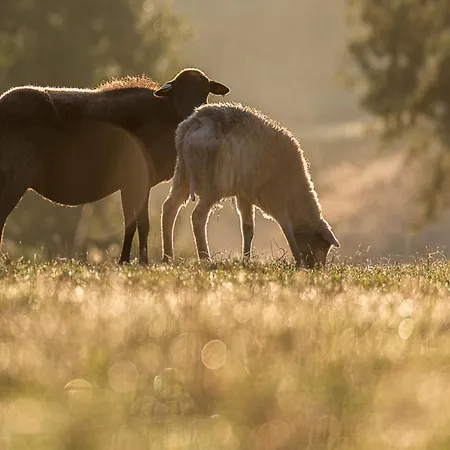 Dreamy Retreat In * Loubejac