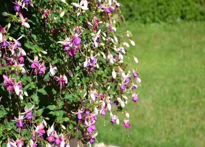 Dreamy Retreat In Dom wakacyjny *