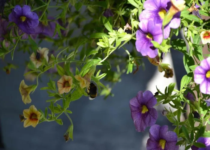 Dreamy Retreat In Dom wakacyjny *