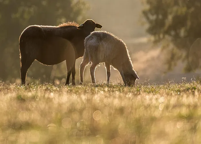Dreamy Retreat In * Loubejac