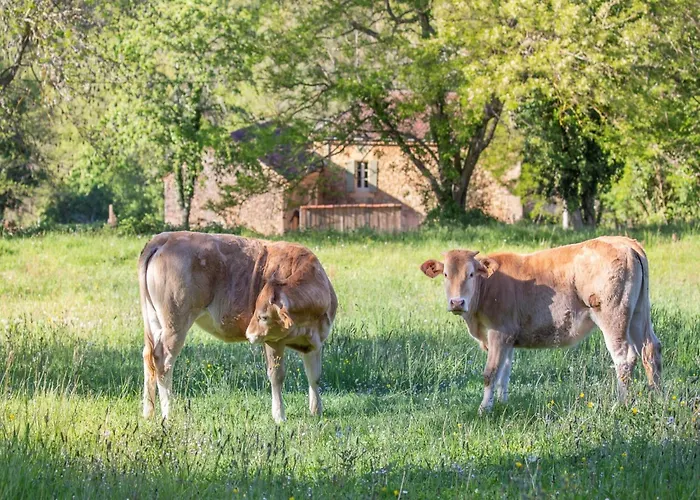 Dom wakacyjny Dreamy Retreat In